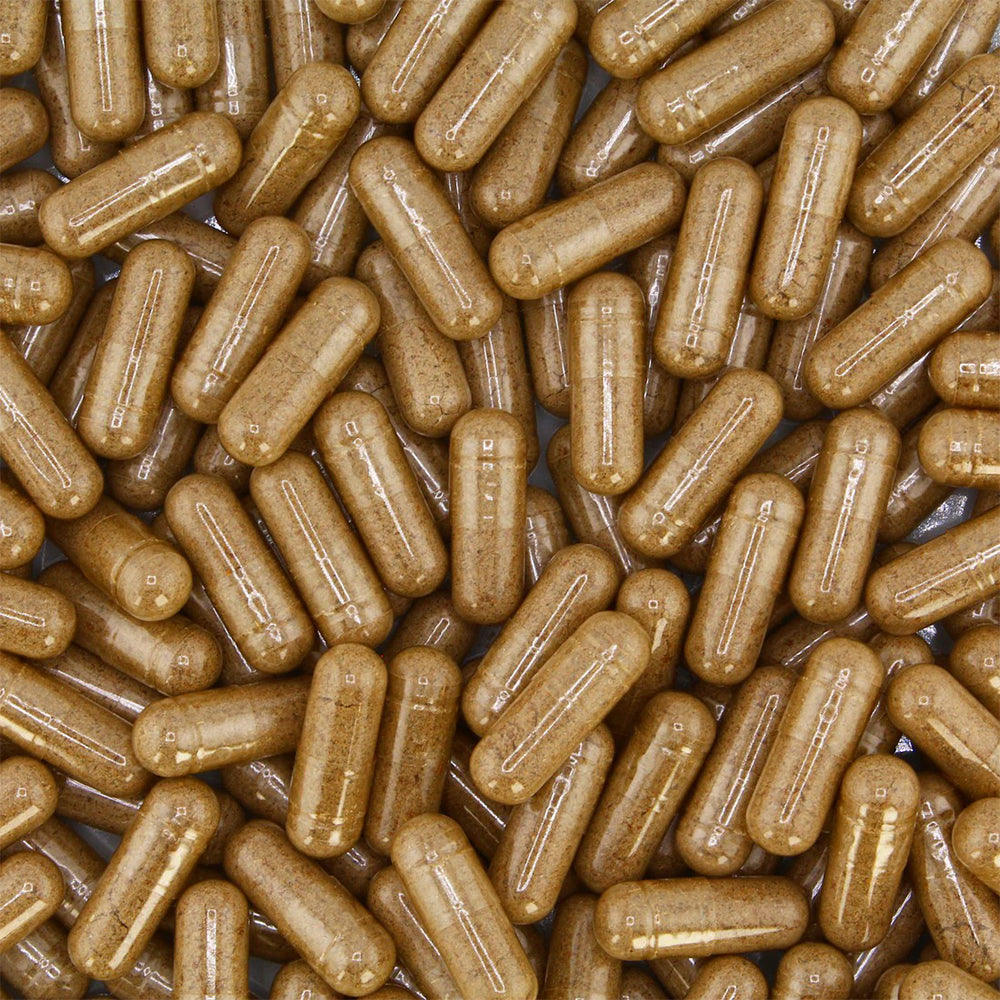 Sunshine Naturals Cerebrina With Ginkgo Biloba & L-Glutamic 90 Capsules