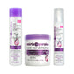 Mirta de Perales Collagen Biotin Shampoo + Conditioner + Repair Mist Set